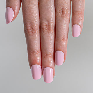 Bubblegum