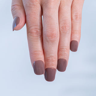 Cocoa Blush