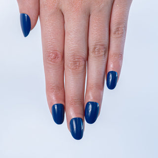 Harbor Blue