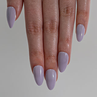 Lavender Dream