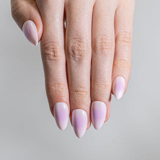 Lilac Dream