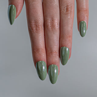 Olive Glow