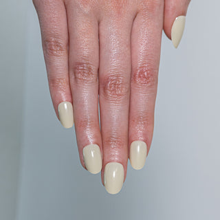 Primrose Veil