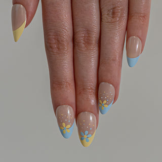 Spring Bloom